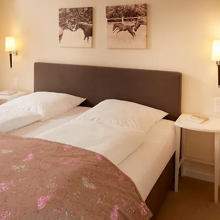 Kino-hotel Meyer 3*