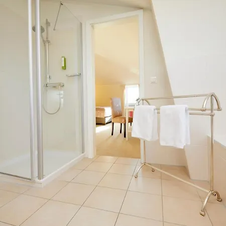Hotel Kino-hotel Meyer 3*