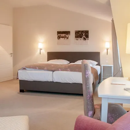 Kino-hotel Meyer Hotel 3*