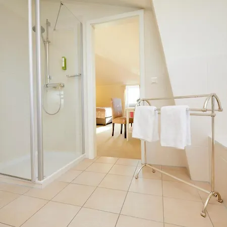 فندق Kino-hotel Meyer 3*
