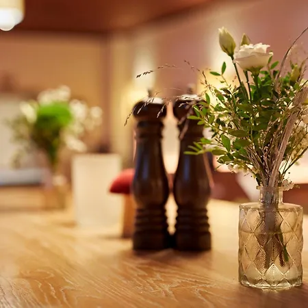 酒店 迈尔凯诺-酒店 哈瑟费尔德