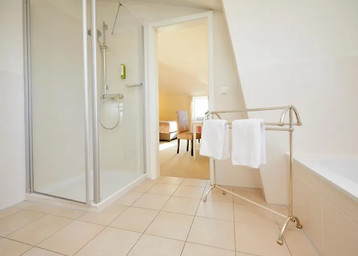 Hotel Kino-hotel Meyer 3*